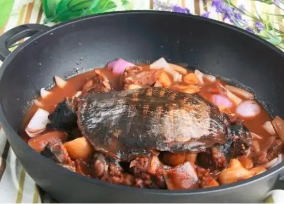 芳香扑鼻,鲜香无比的火腿炖甲鱼,带给你味觉上的完美体验