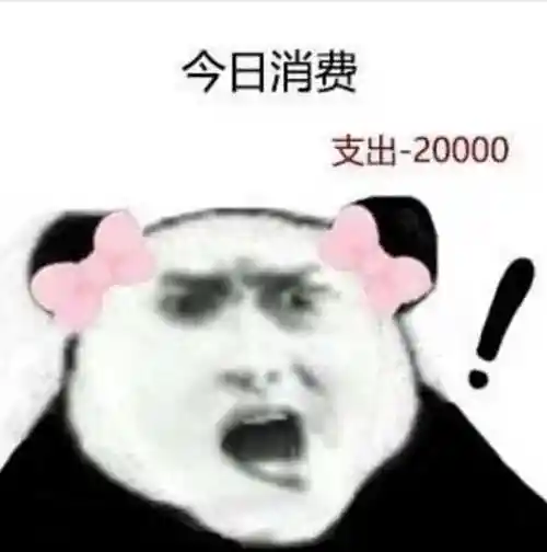 今日消费支出20000聊天表情搞笑图片表情