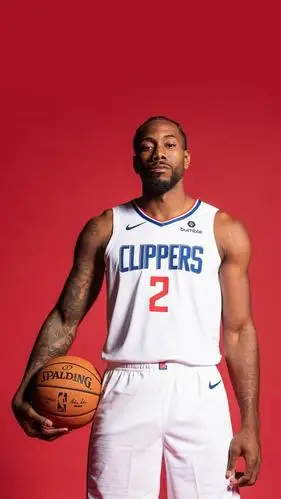 精选莱昂纳德高清手机壁纸,作为手机壁纸很不错!