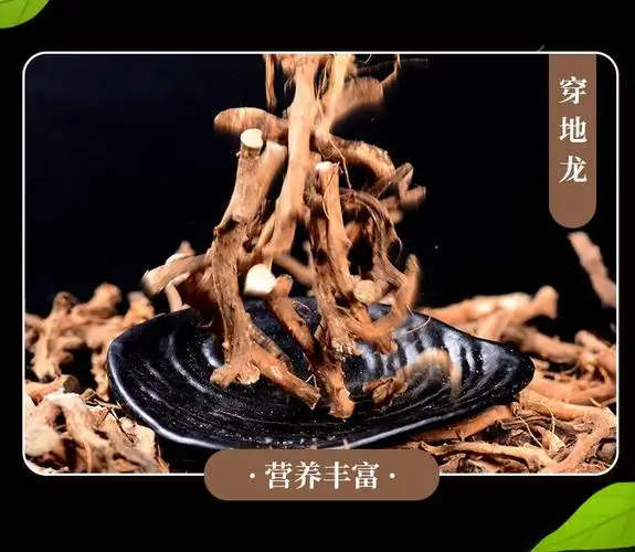 栢晟穿地龙东北地龙骨泡酒穿地龙穿地龙500g