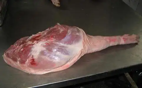 紧急提醒:这家卖的猪后腿肉不合格,何止一种兽药残留问题!