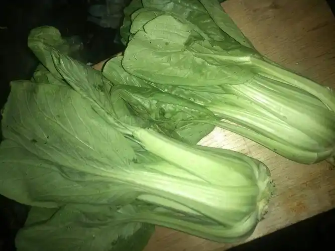 这是什么菜,怎么弄,好吃.