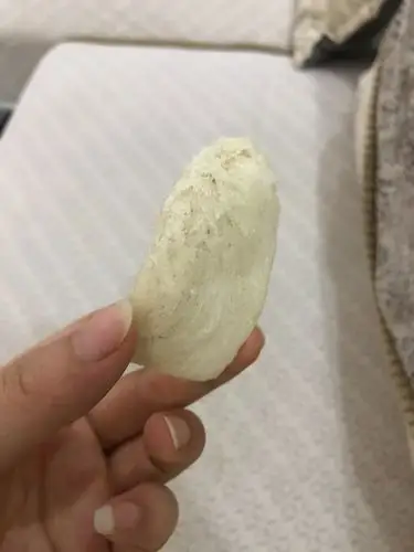 大家帮忙看看我这燕窝是不是发霉了?