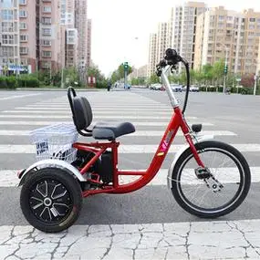 蓝马电动三轮车老年代步车外八字防侧翻前蹬人力电动三轮车安全