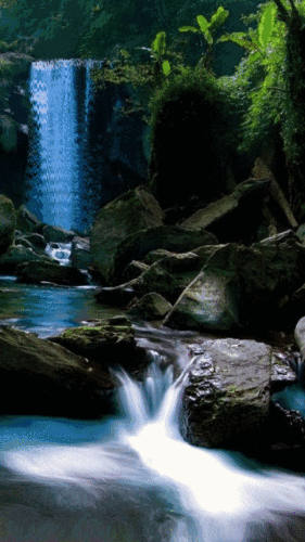 最美版本高山流水送给真正懂你的人