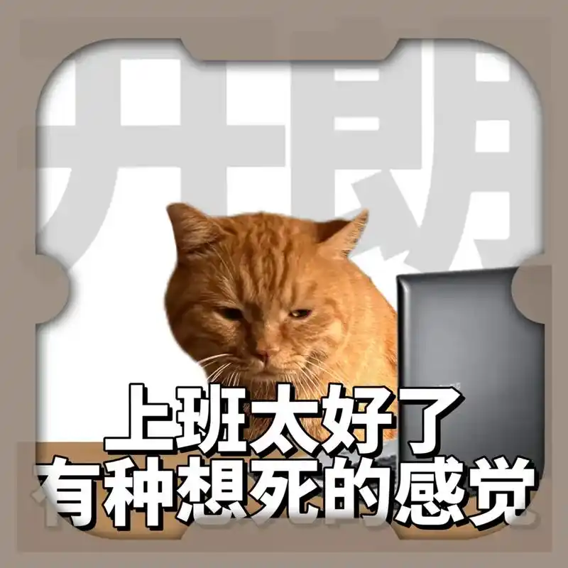 我打工的九大美德3.0#喵星人 #猫咪表情包 #搞笑 #萌宠 - 抖音