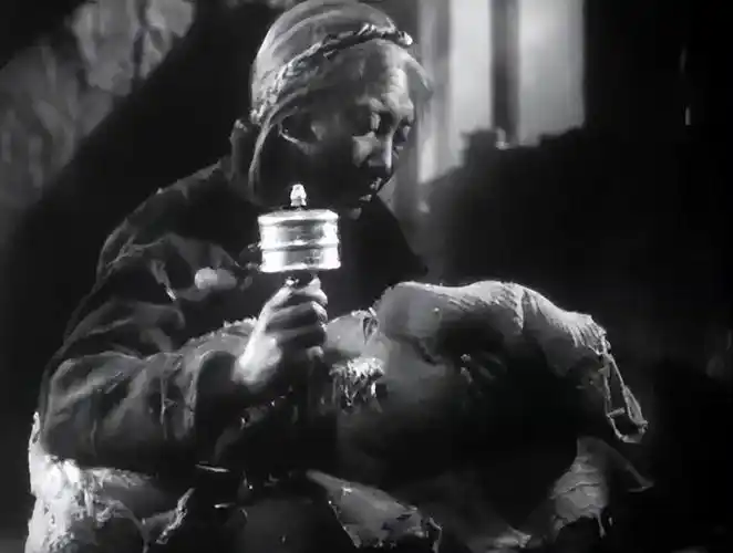 《农奴》:1963年国产经典老电影,旧西藏百万农奴非人生活的缩影