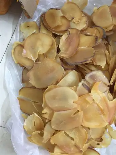 响螺干油螺 海螺片海螺 煲汤料 一件代发 海鲜大礼包