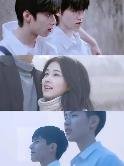 猫的树微电影75青春天花板75一口气炫完