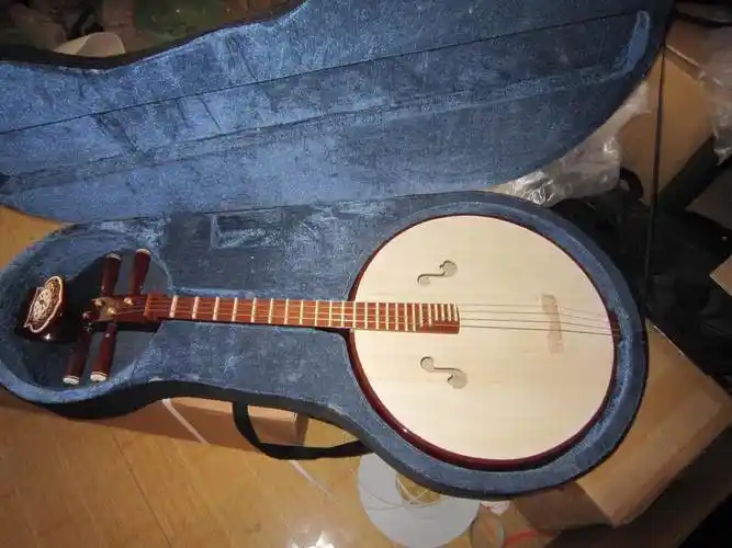 小阮高级骨花铜品红木轴钢专业演奏初学乐器阮