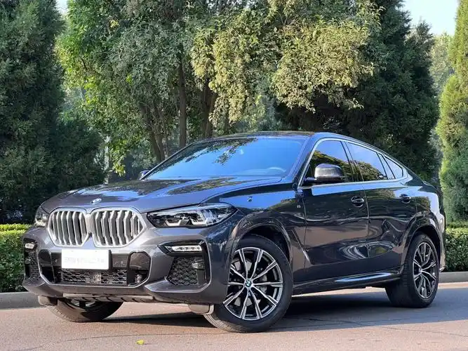 宝马 宝马x6  2021款 xdrive30i m运动套装图片
