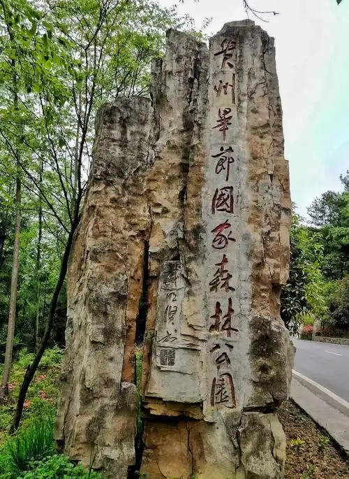 写美篇拱拢坪景区属毕节国家森林公园,原是林业局的一处知青林场