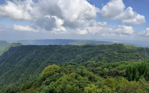 重庆被忽略的森林公园,号称中国森林氧吧,是国家级森林公园_高清图集