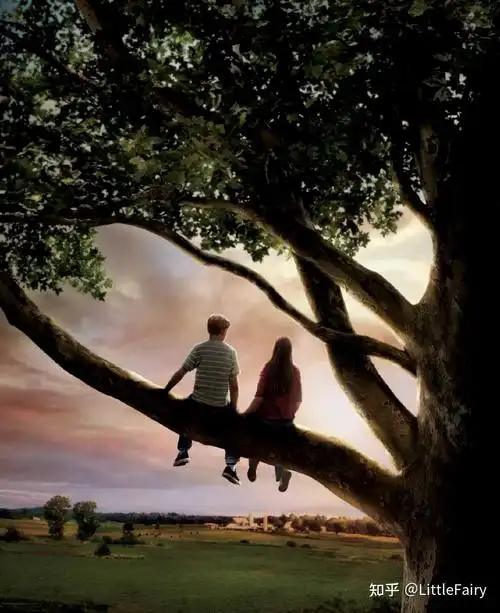 《怦然心动》:整体or部分 - 知乎