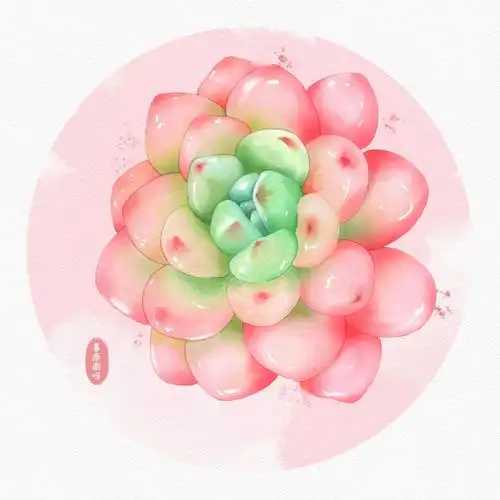 水彩临摹练习多肉篇罗琦