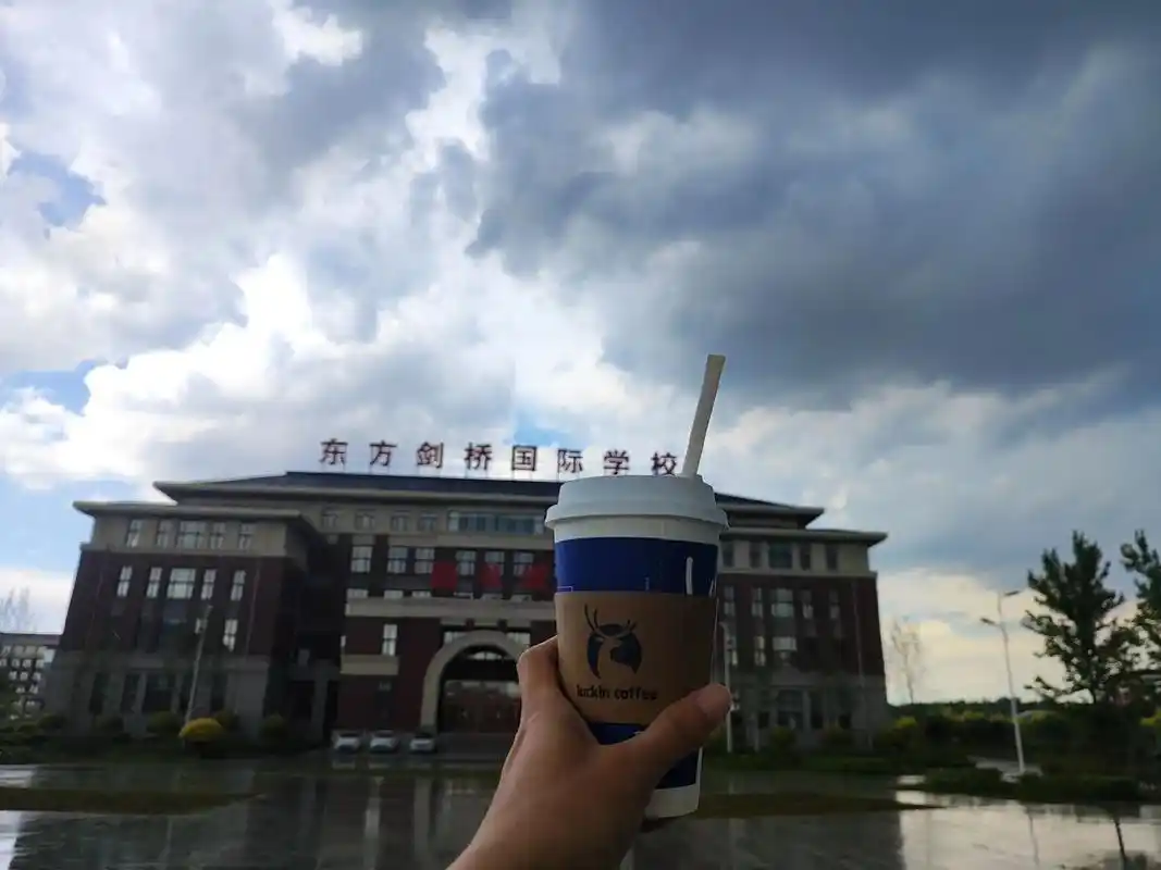 我决定重新爱上阳光 心若有光 狂风骤雨又如何 心若无光