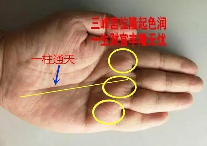 手相中玉柱通天财运丰隆富贵有望