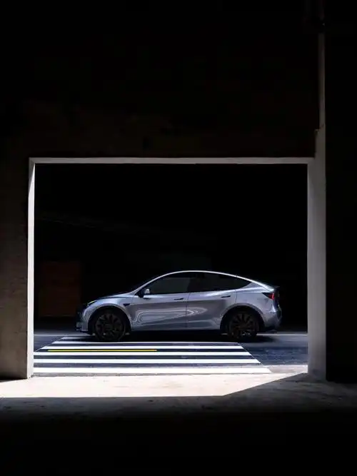 特斯拉model y三个版本怎么选?_model y社区_易车社区