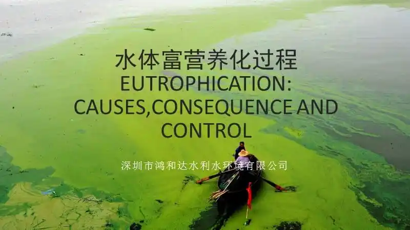 水体富营养化pptx