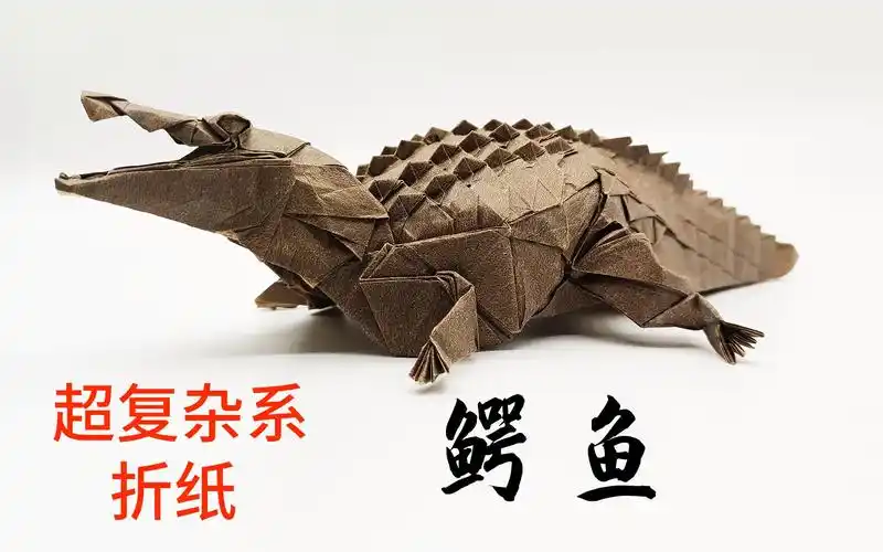 【折纸】二战地狱级难度鳄鱼,早上8点干到晚上8点,现在肝疼腰子疼