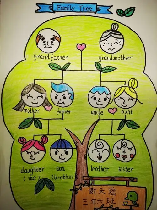 思维导图-3 family