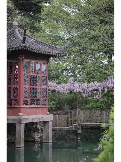 苏州园林拙政园紫藤花窗