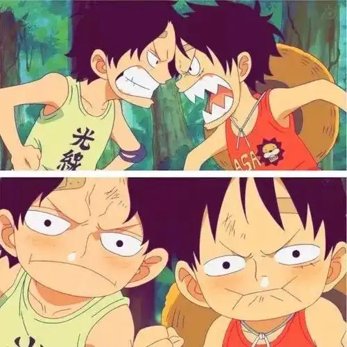 动画中回忆他们三兄弟小时候时,经常都是艾斯和路飞两人大眼瞪小眼,恨