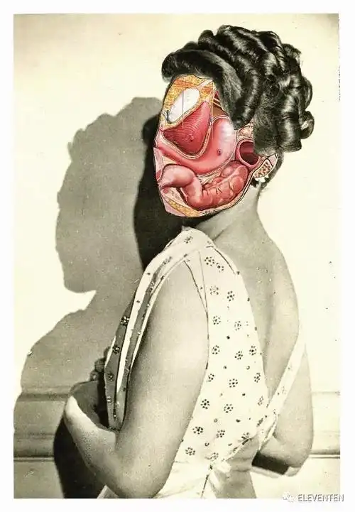 拼贴艺术家lynnskordal创造超现实的达达主义拼贴世界