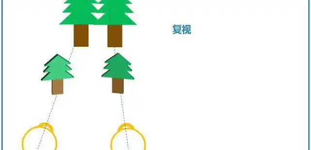 我看东西有时候看成两个,是散光引起的么?_网易订阅