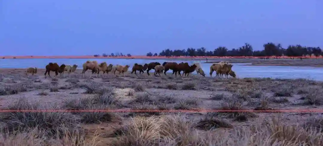 拍摄时可以把画面做三等份,注意这个三等份不能平均划分(一般后景深总
