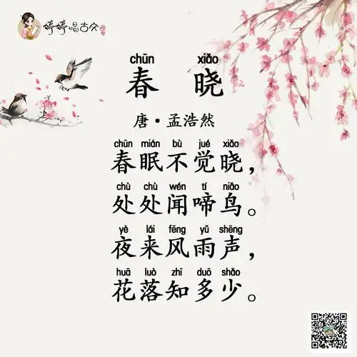 必背07 婷婷唱古文-唐-孟浩然-春晓