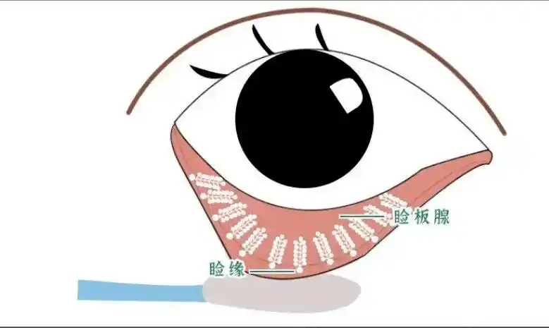 自己购买蒸汽眼罩和医院眼睛热敷有区别吗?