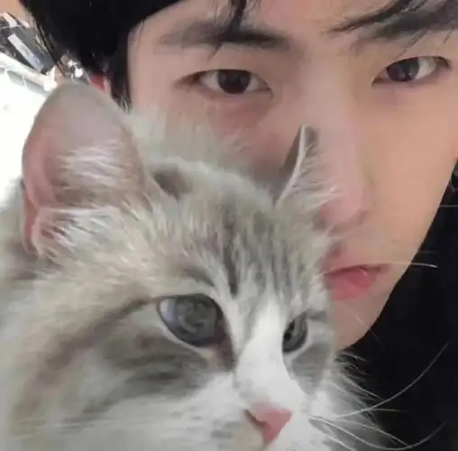 每日头像分享#头像分享