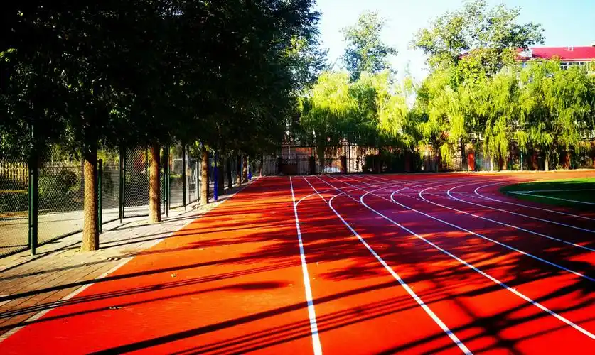 我的校园四季如画,我爱我的校园!