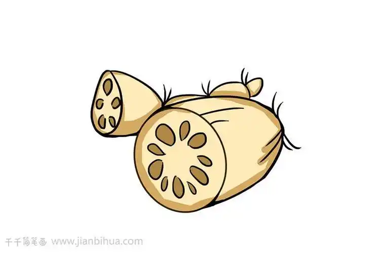 莲藕简笔画大全