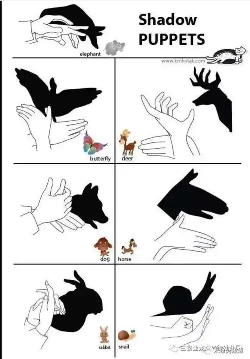 《动物手影操》手指游戏今日我园推送内容:新的一月开始啦!