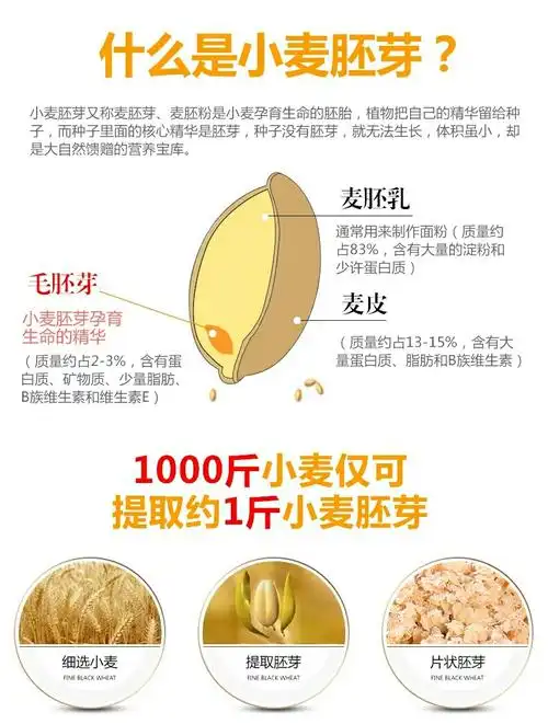 衡水信誉楼一楼超市引进新好商品小麦胚芽