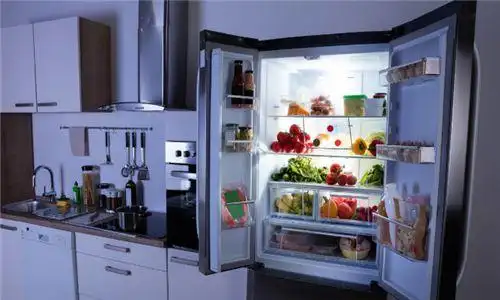 潘宁上任后,便带领着技术人员建造了中国第一台双门冰箱,并命名为容声