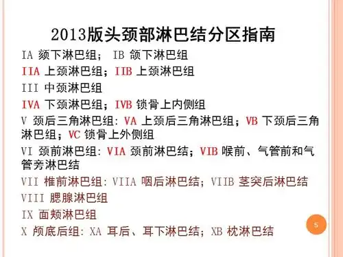 颈部淋巴结详细分区ppt演示幻灯片