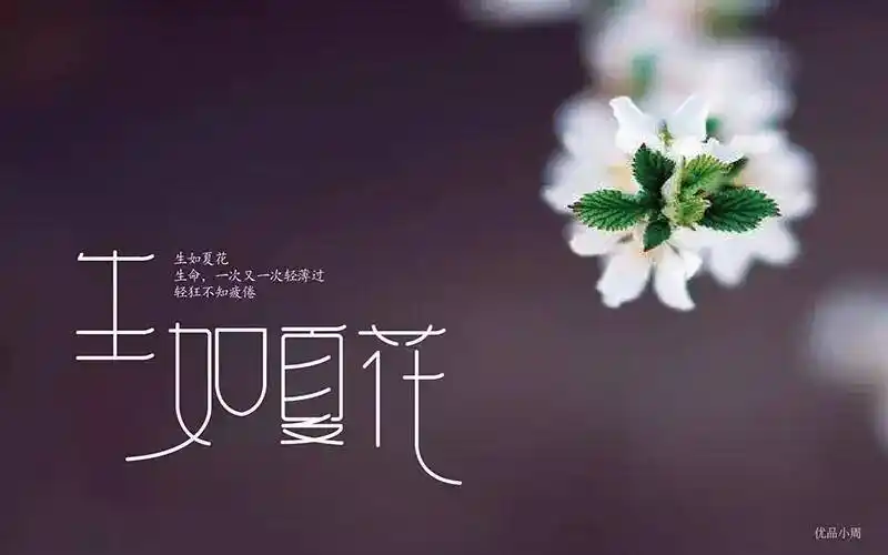 字体帮-第521篇:生如夏花 明日命题:悸动