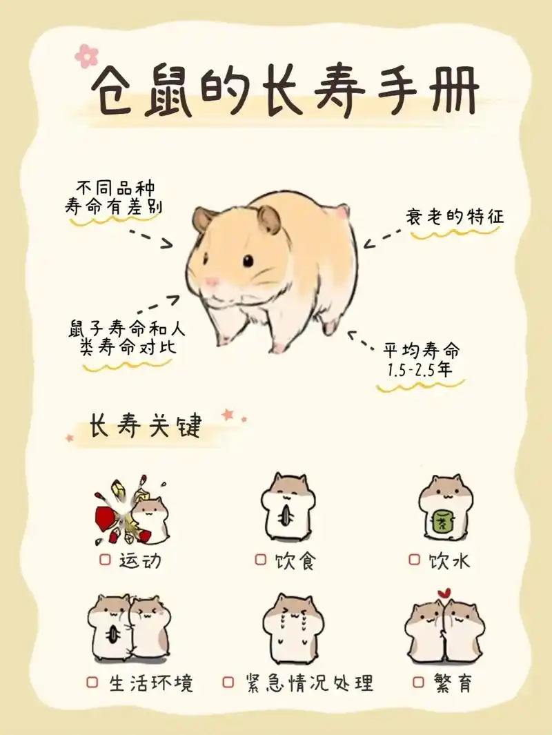 金丝熊科普#金丝熊 #仓鼠 #萌宠 - 抖音