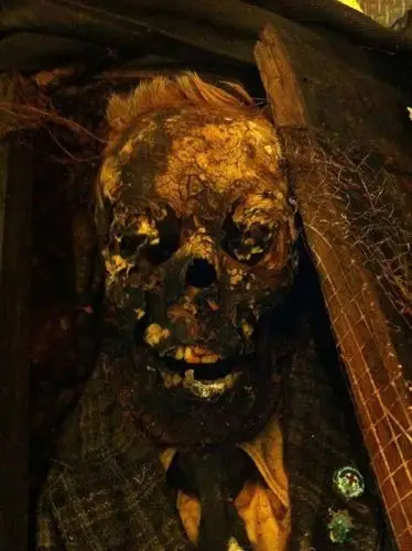 埋葬50年后的尸体是什么样子?胆小勿入!