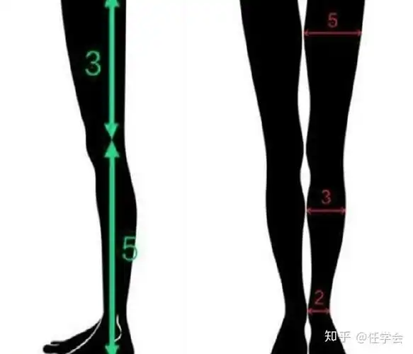 小腿和大腿的比例是多少? - 知乎