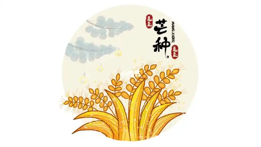 芒种节气简笔画