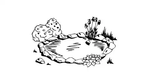 池塘怎么画 - 简笔画 - 懂得