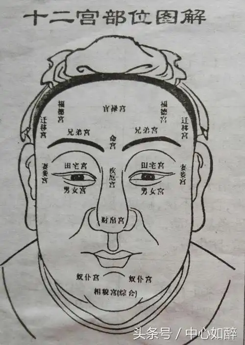何谓十二宫面相,是以不同的宫位象征人生的成败(答案仅供参考)