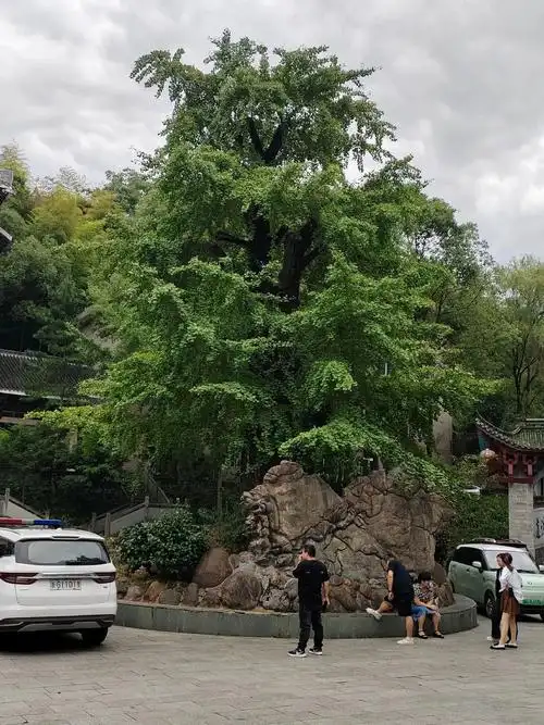 10.1号,赤松黄大仙 - 抖音