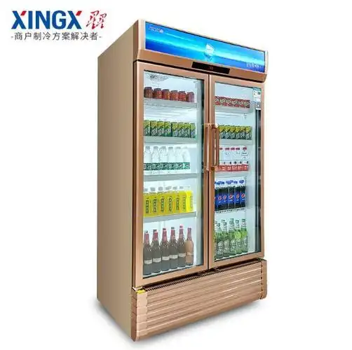星星双开门展示柜 星星三开门式饮料柜 冷藏冰柜立式保鲜柜冰箱