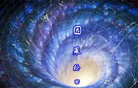 无量劫的生死轮回,我们从来没有逃离出去的,就是这张因果网.