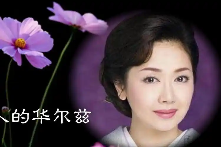 伍代夏子女人的华尔兹胭脂也悲情